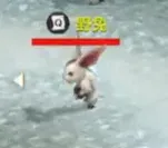 野兔