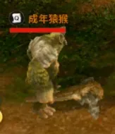 成年猿猴